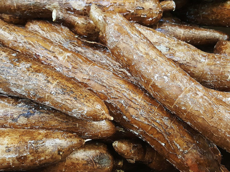 Yuca