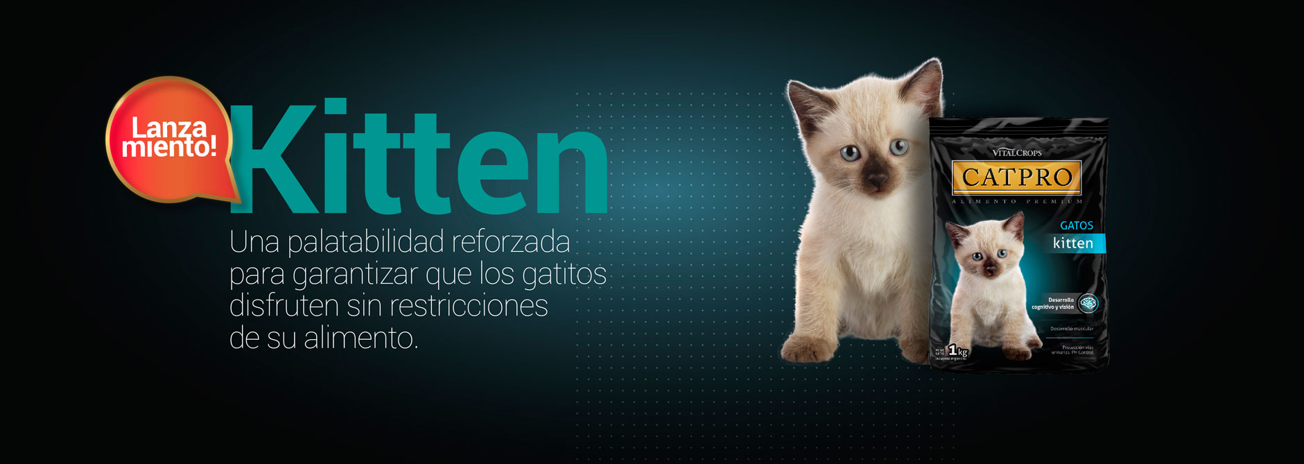 Catpro Kitten