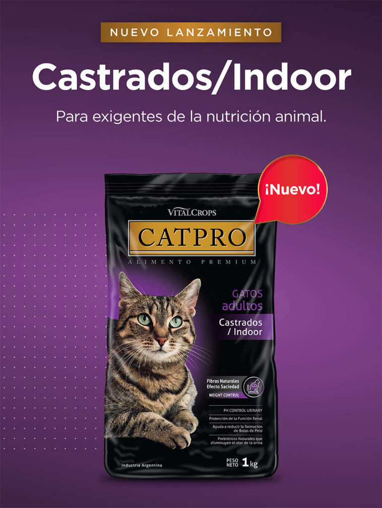 CATPRO | Alimento Premium para Gatos