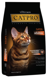 catpro adultos