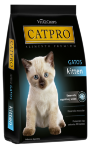 kitten catpro