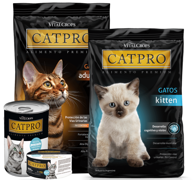 catpro latas comida