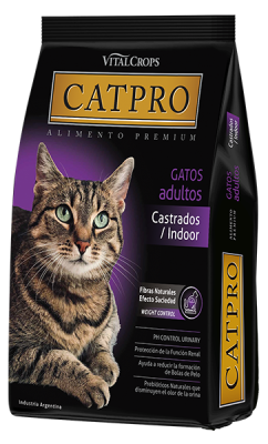 Catpro indoor
