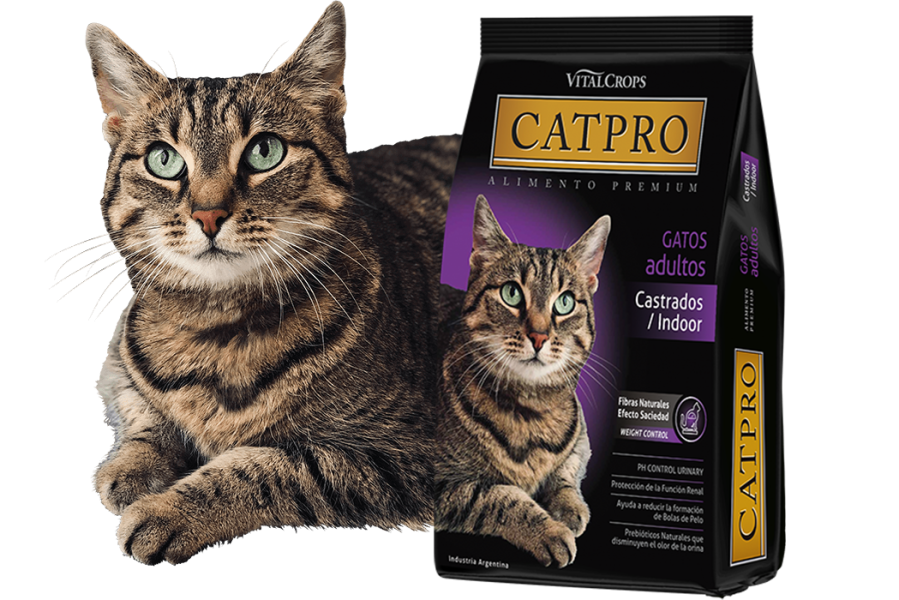 Catpro castrados
